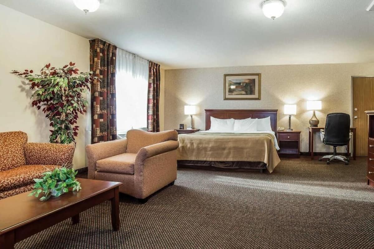 A hotel room with a bed, a sofa, a chair, a desk, and a plant.
