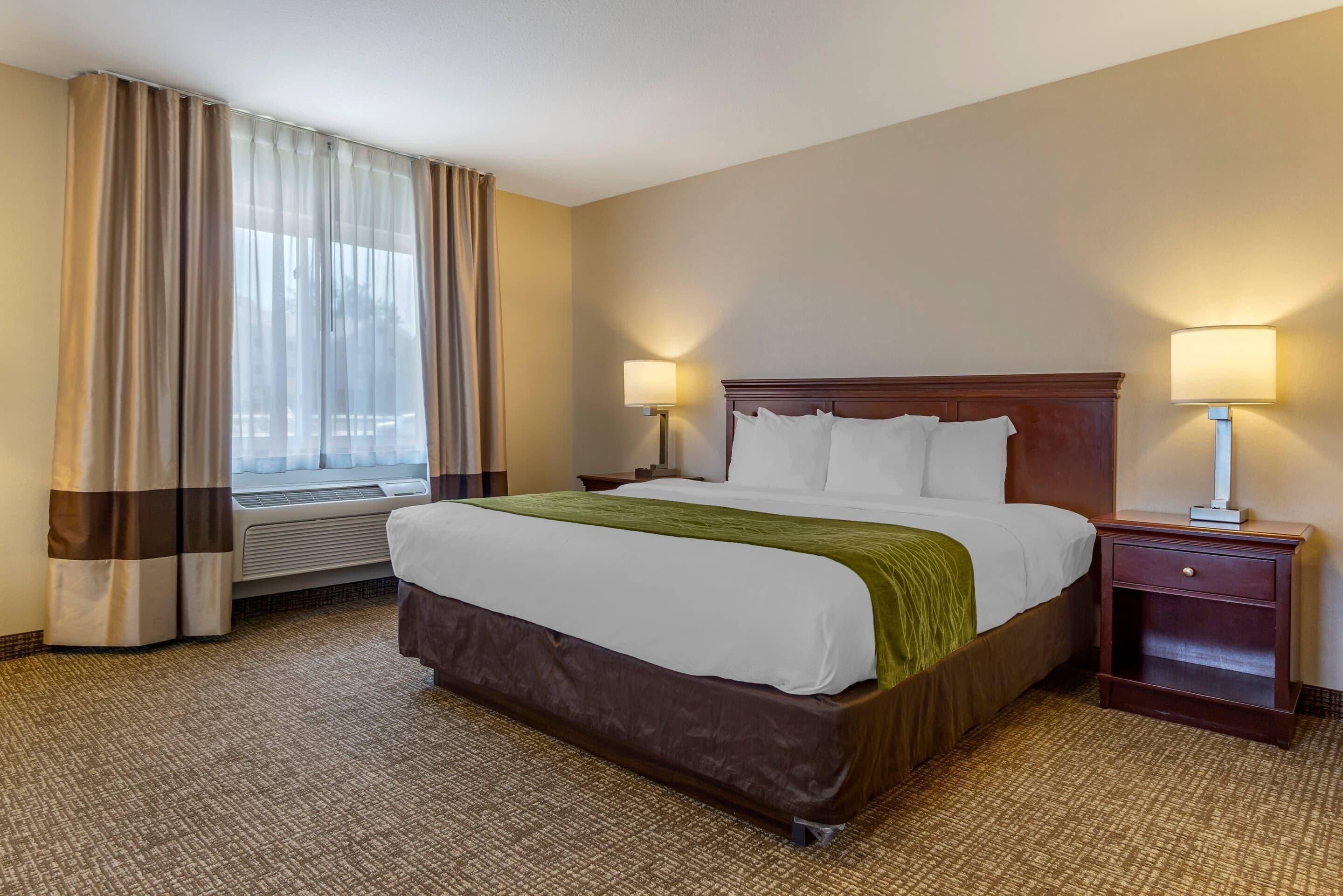 A hotel room with a large bed, two bedside tables with lamps, a window with curtains, and a carpeted floor.