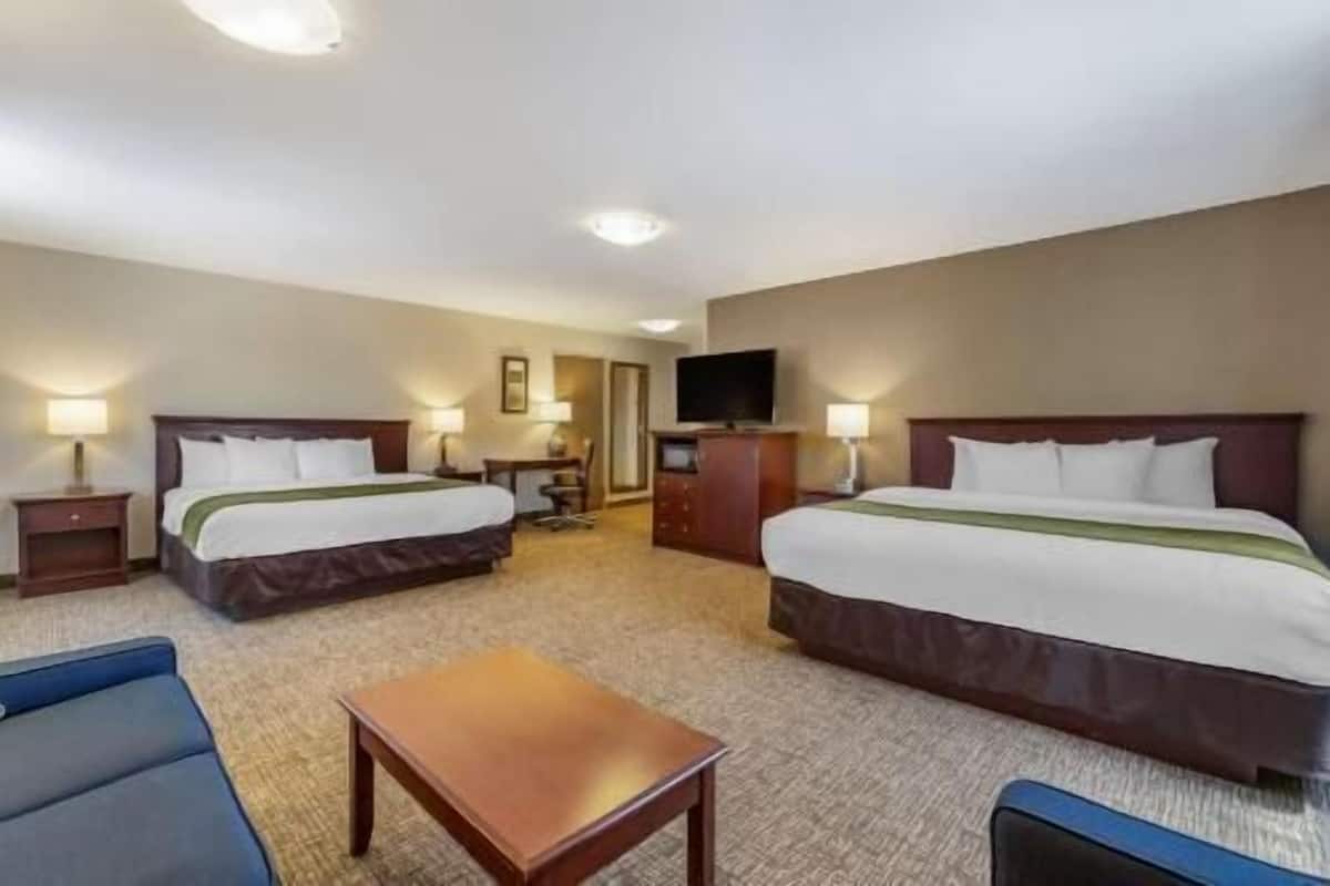 A hotel room with two beds, a television, a desk, and a chair.
