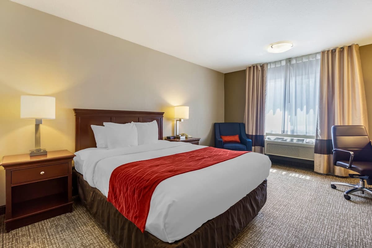 Standard Room, 1 Queen Bed, Non Smoking | In-room safe, blackout drapes, iron/ironing board