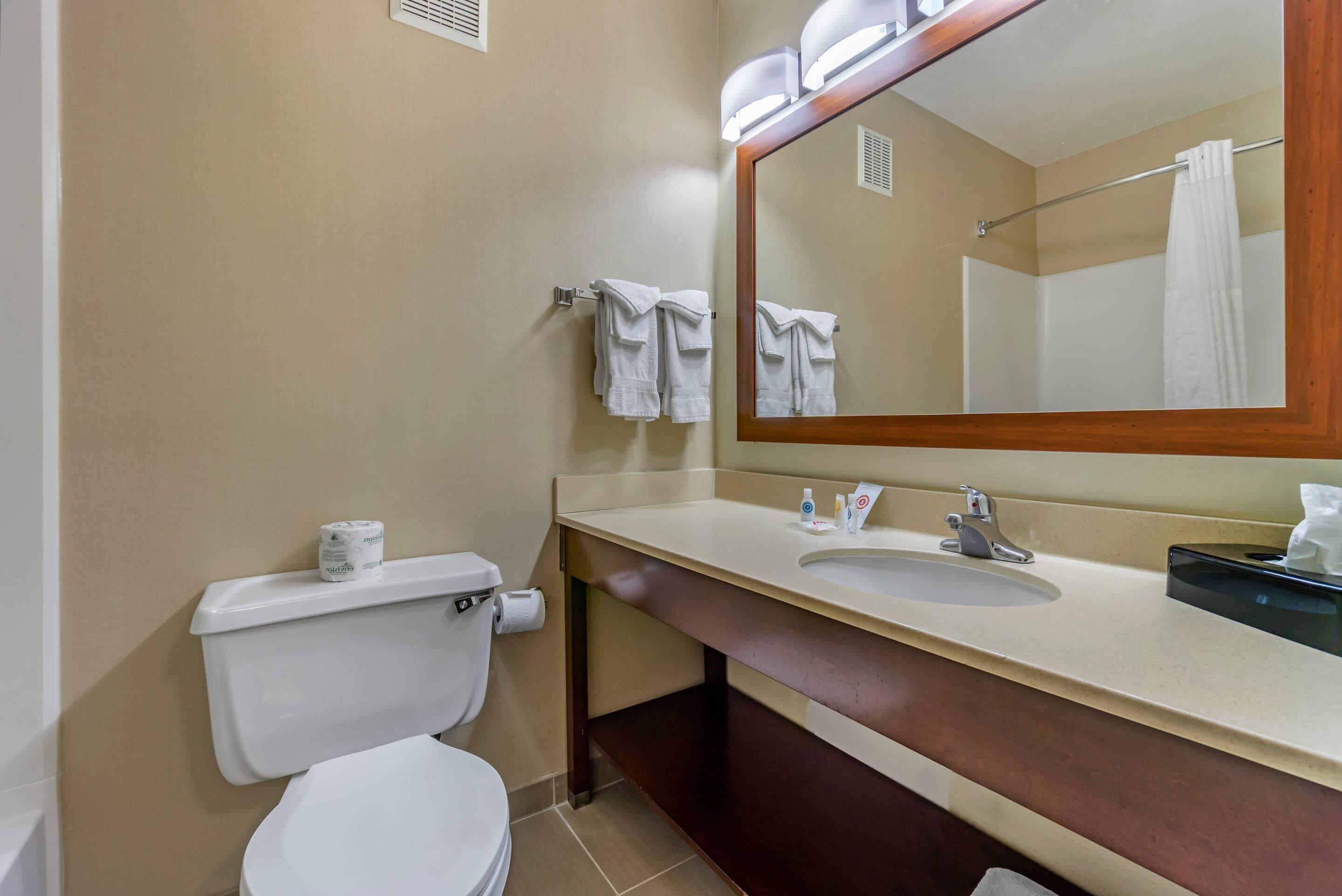 A bathroom with a toilet, sink, mirror, and towel rack.