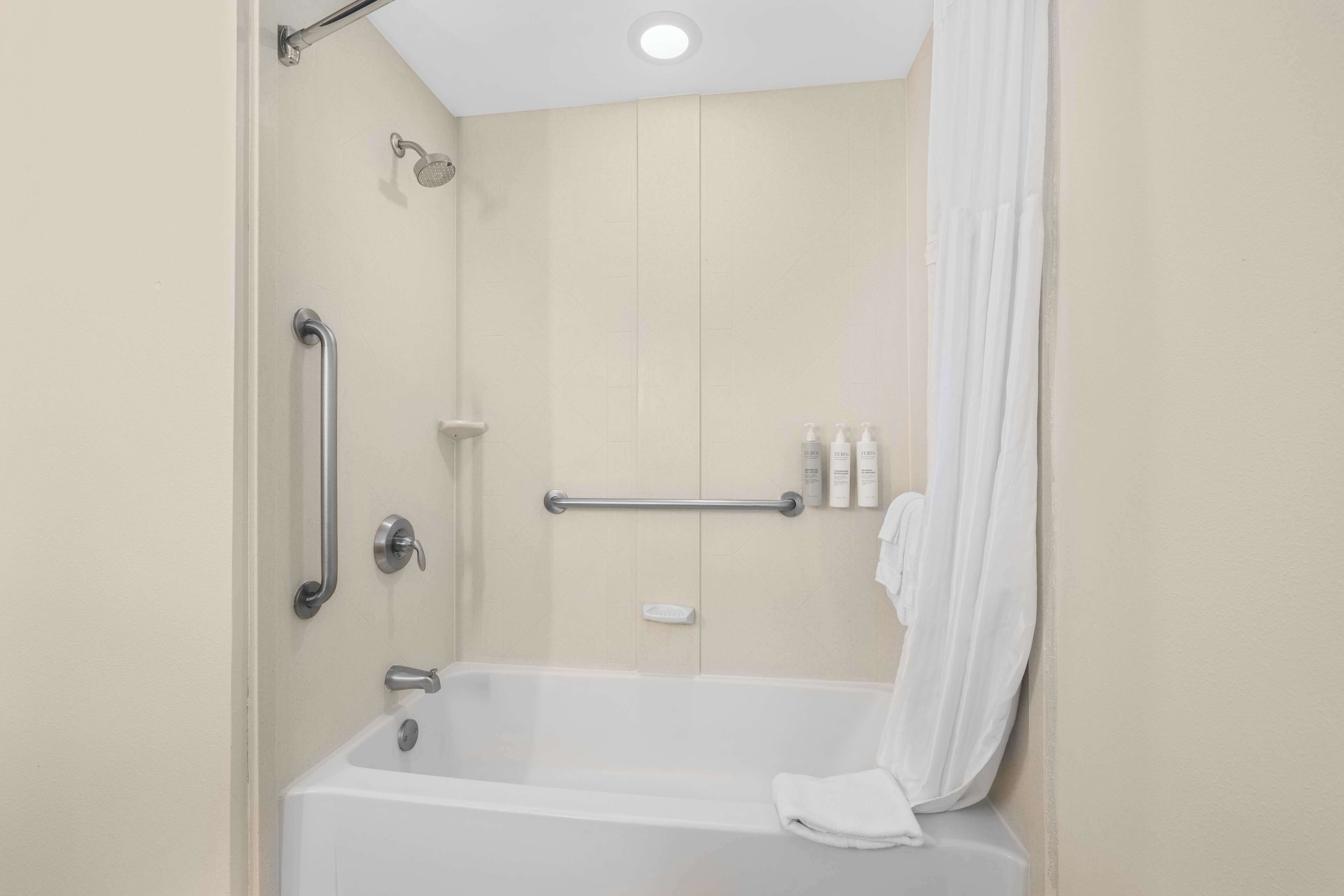 room, 1 king bed, accessible, bathtub (mobility) | bathroom shower