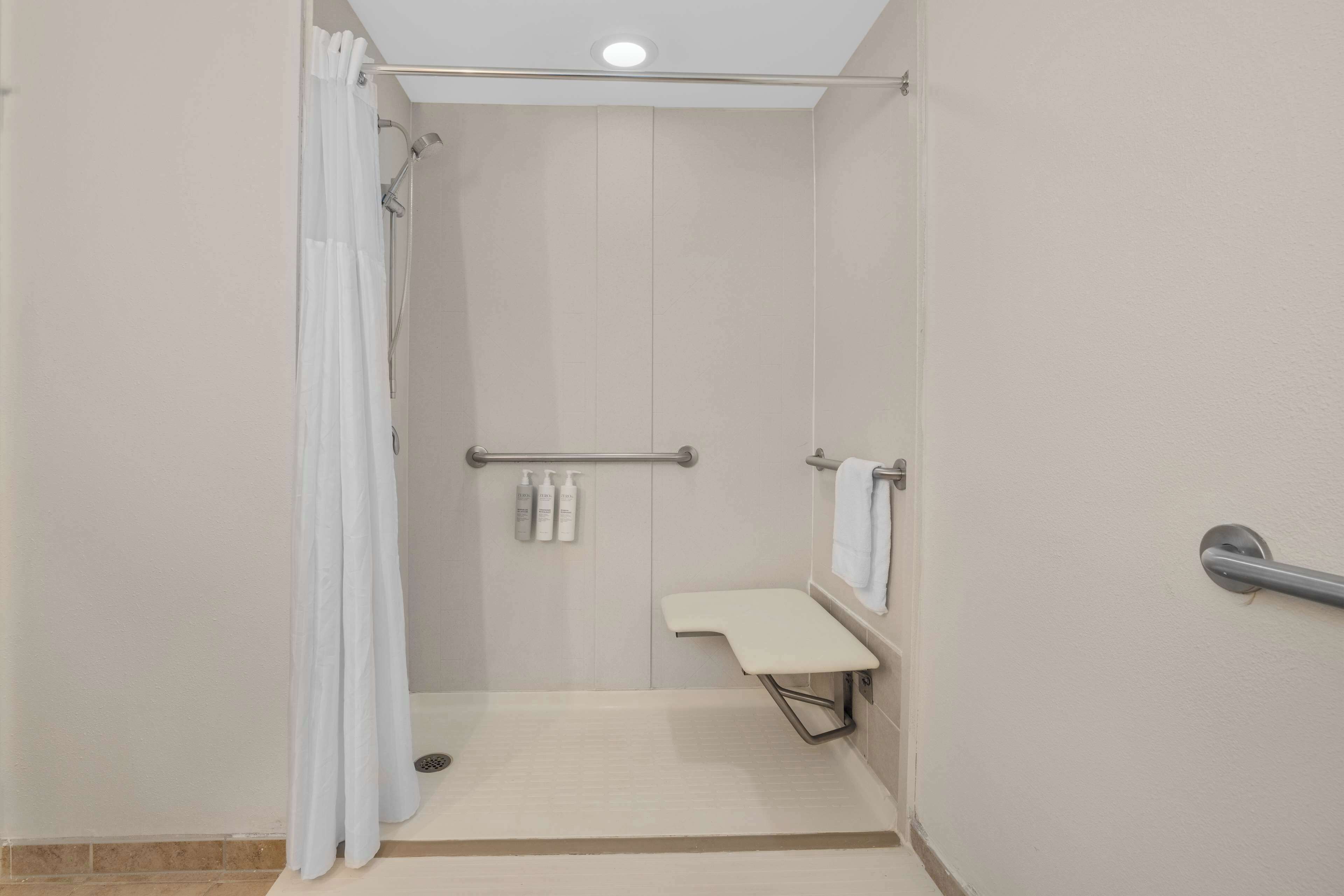 room, 1 king bed, accessible (mobility, roll-in shower) | bathroom shower