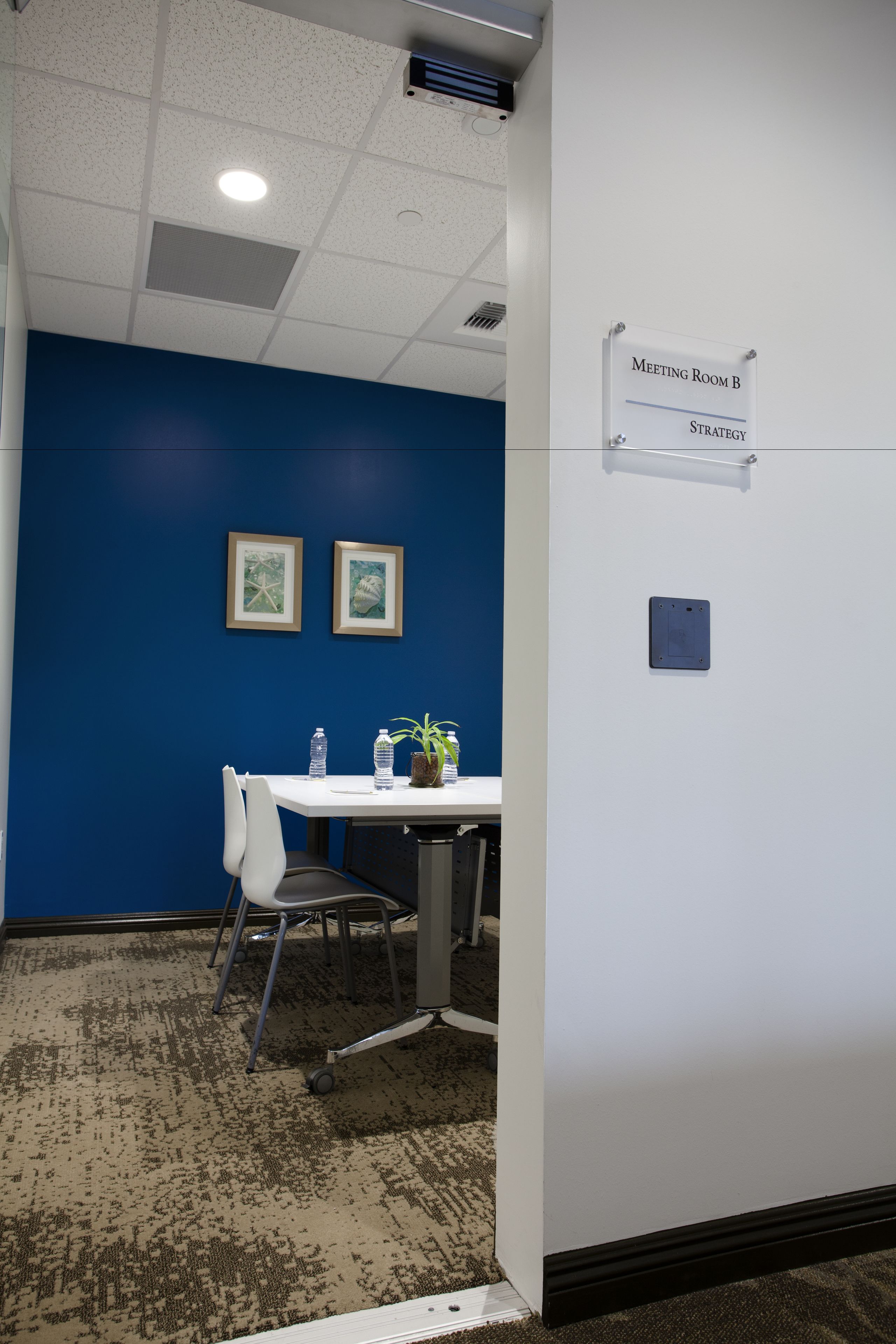 A meeting room with a blue accent wall, a white table, and a white chair. There are two framed pictures on the wall, a water bottle, and a potted plant on the table.