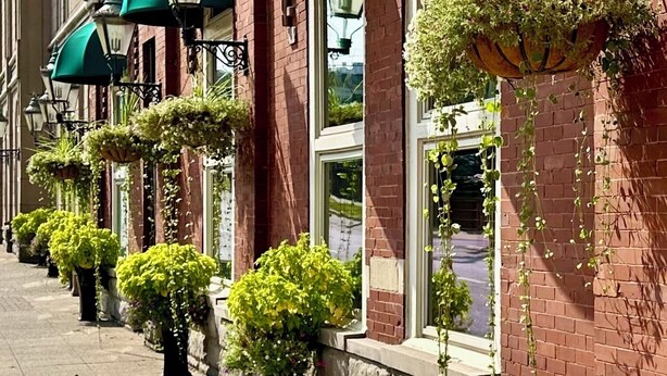Una hilera de edificios de ladrillo rojo con toldos verdes y macetas colgantes con flores.