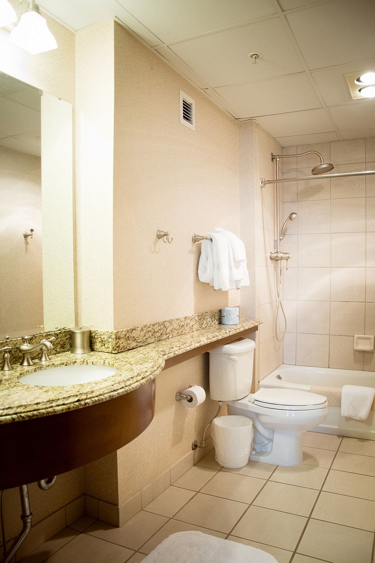 Une salle de bain équipée d’un lavabo, de toilettes, d’une douche et d’un miroir.