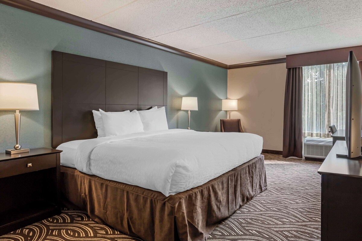 A hotel room with a large bed, two bedside lamps, a flat-screen TV, and a window with curtains.