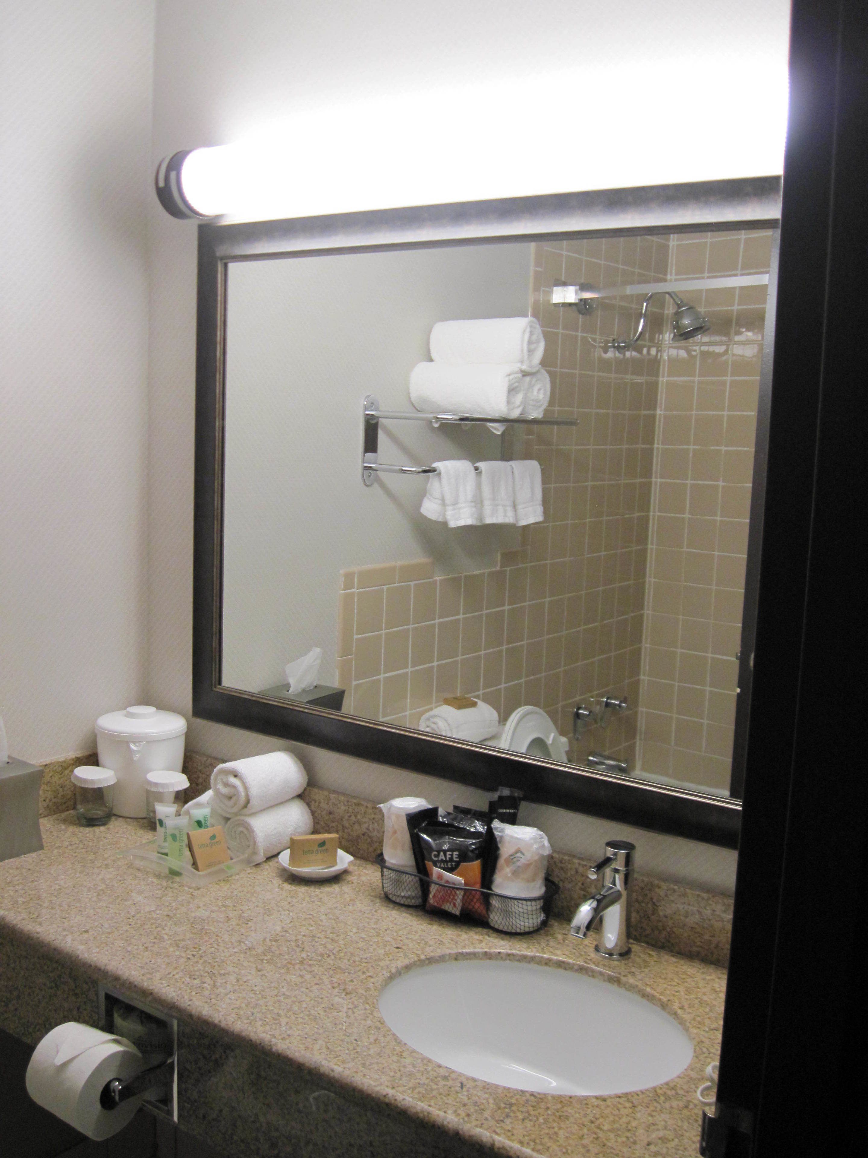 A hotel bathroom with a sink, mirror, and towel rack.