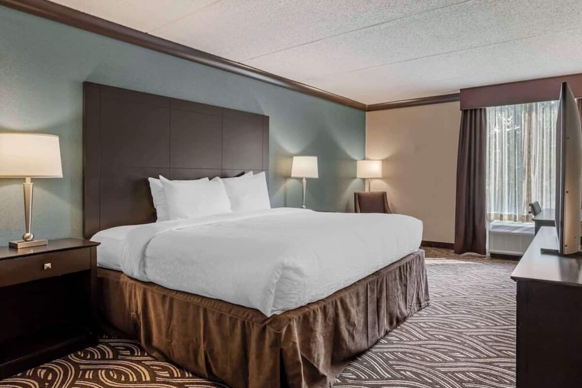 Premium bedding, in-room safe, desk, iron/ironing board