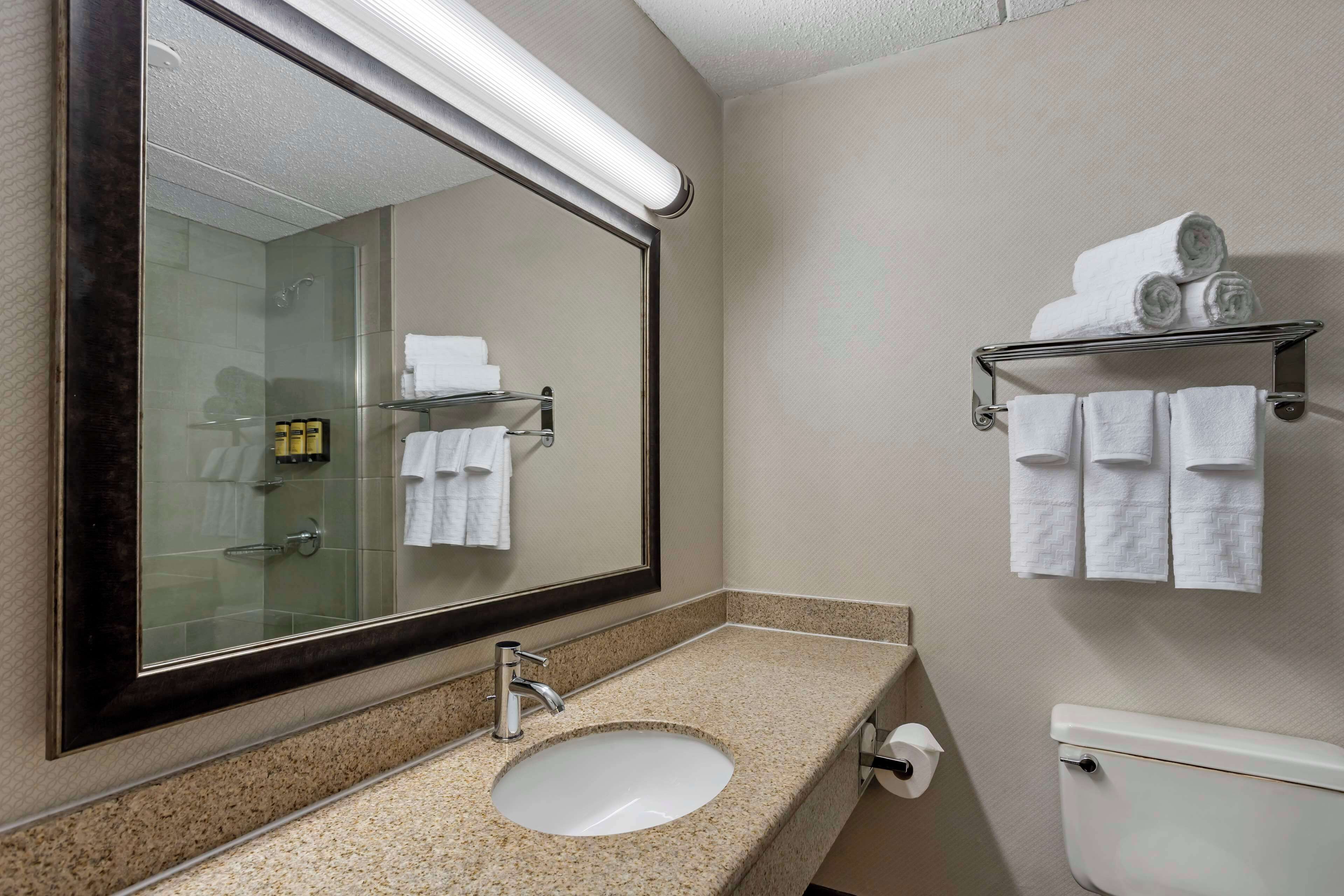 Une salle de bain avec un grand miroir, un lavabo, des toilettes et un porte-serviettes avec des serviettes.