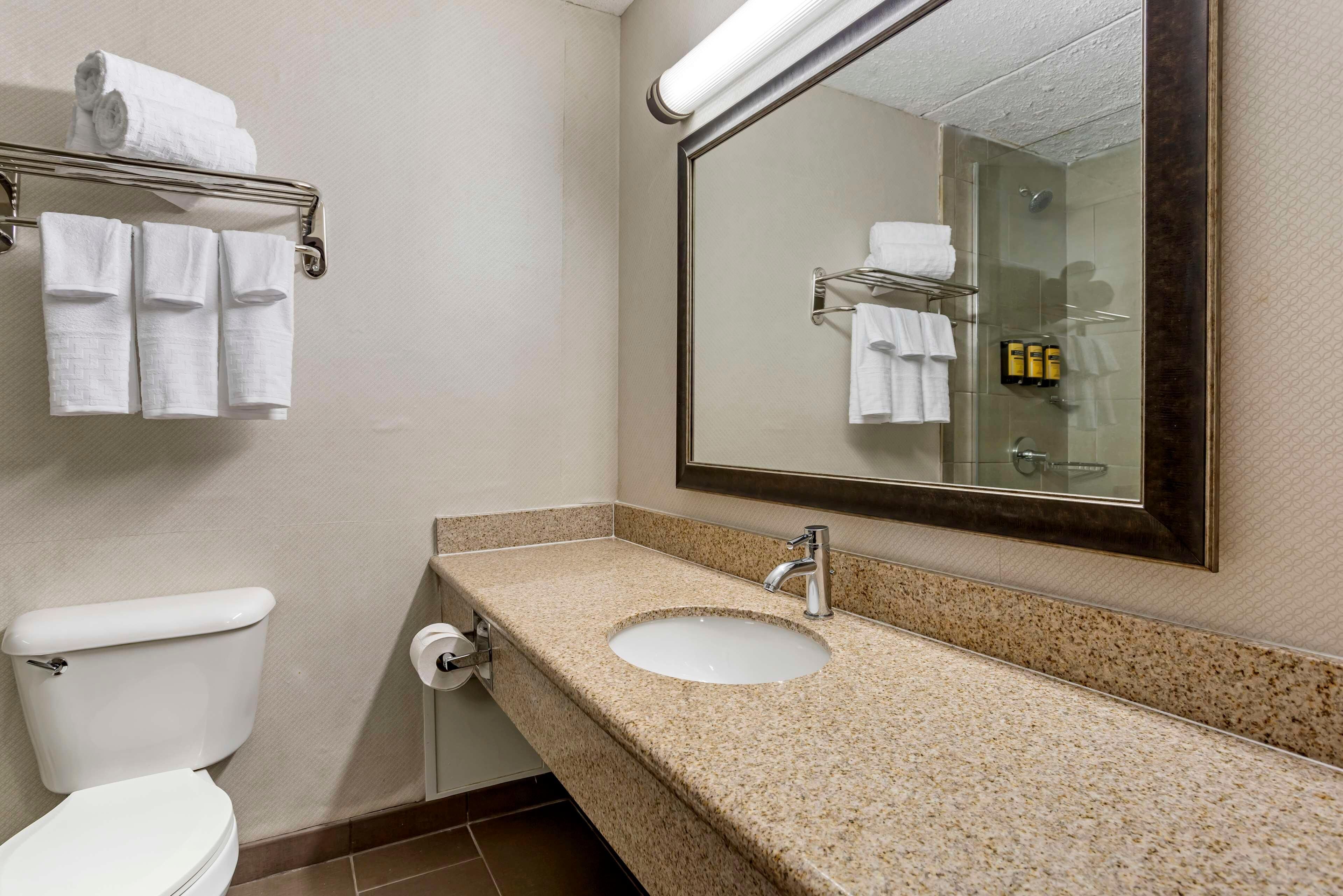Un baño con inodoro, lavamanos y espejo.