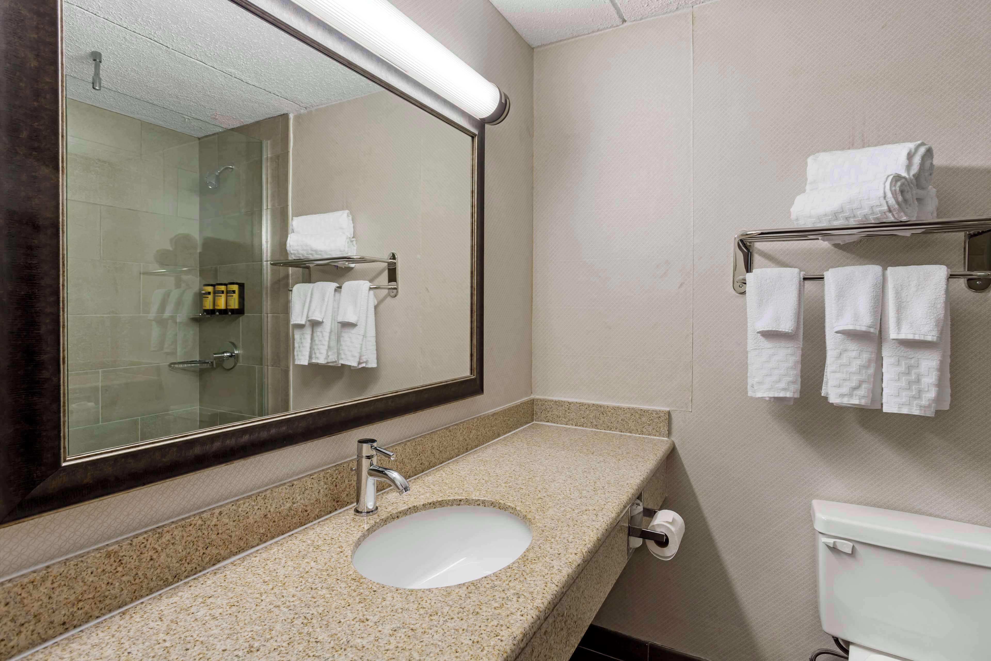 Un bagno con lavandino, specchio, porta asciugamani e water.