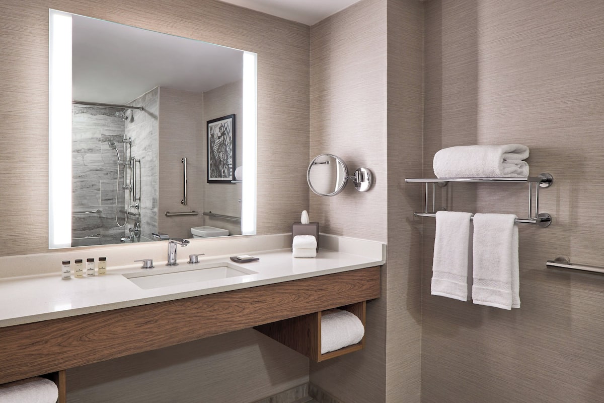 combined shower/bathtub, free toiletries, hair dryer, towels