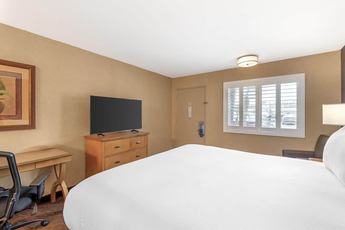 Room, 1 King Bed (Shower Only)