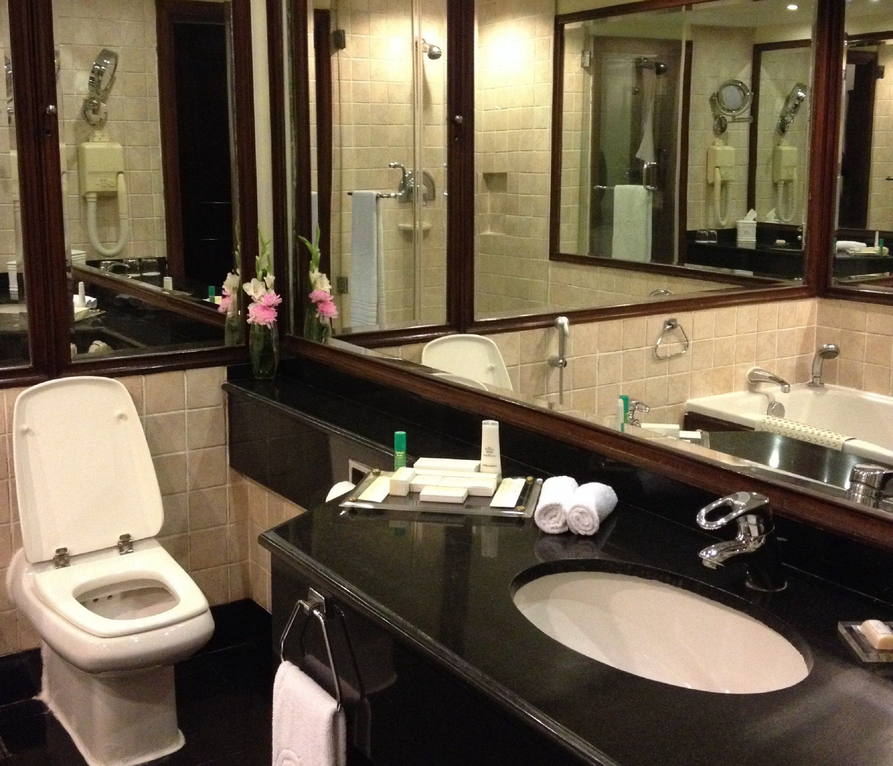 Une salle de bain moderne avec des toilettes, un lavabo et un grand miroir.