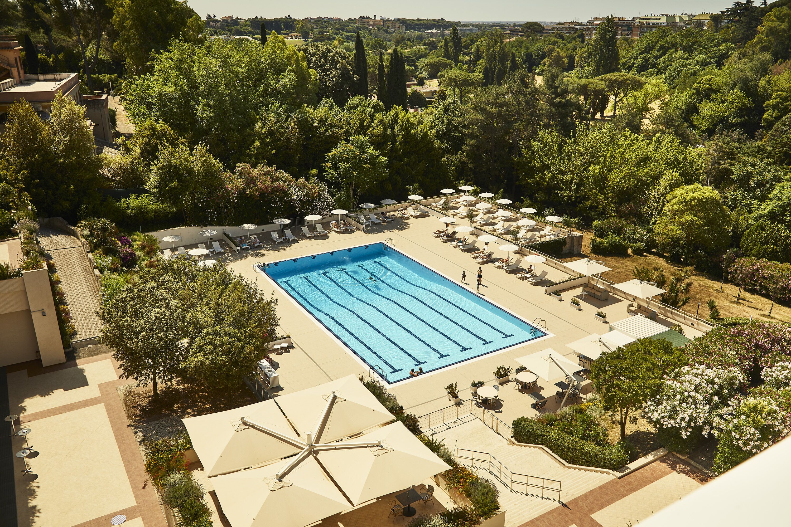Una piscina en la azotea con tumbonas y sombrillas, rodeada de árboles y follaje.
