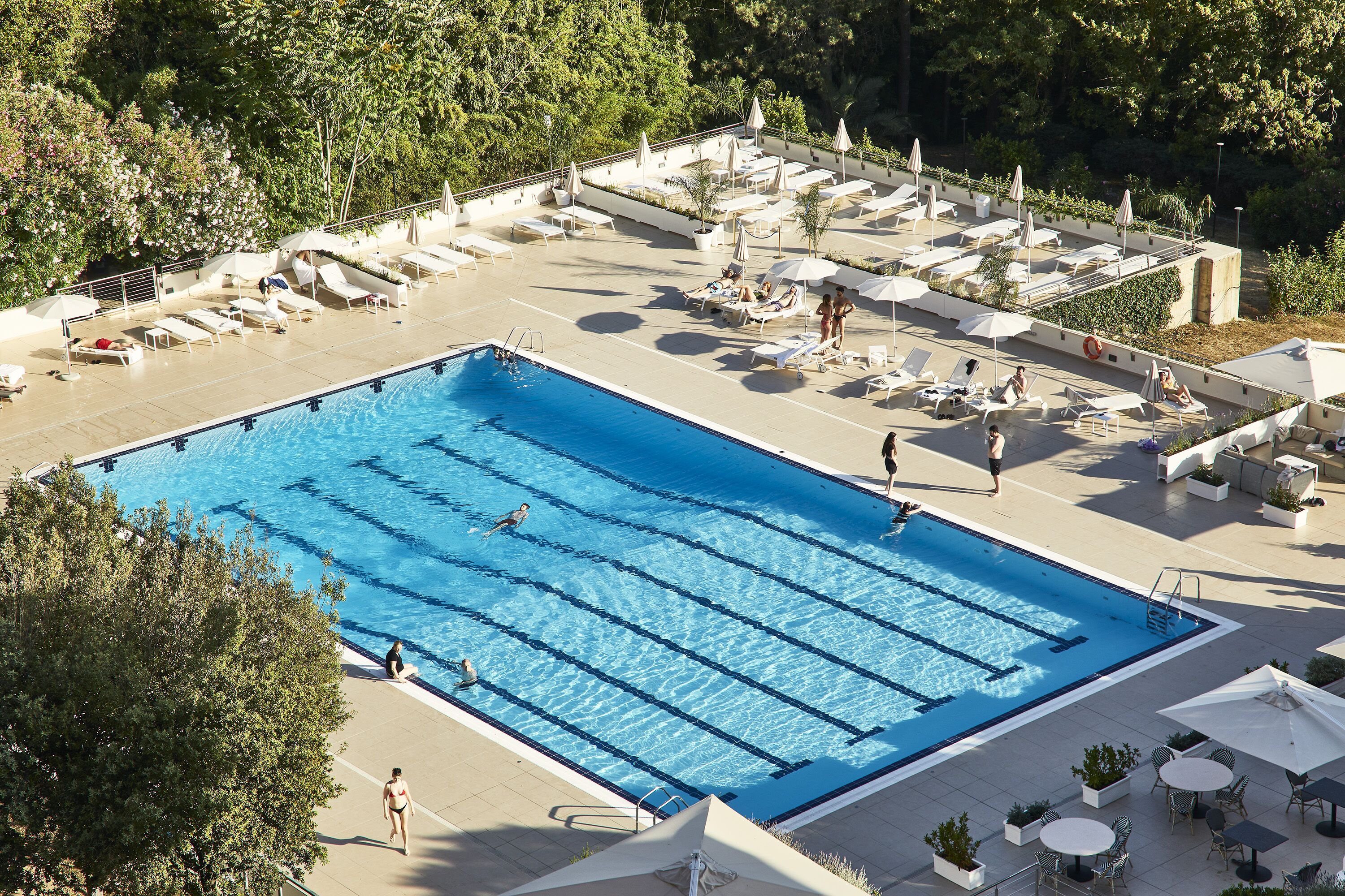 A large outdoor swimming pool with multiple lanes, surrounded by lounge chairs and umbrellas, and shaded by trees.
