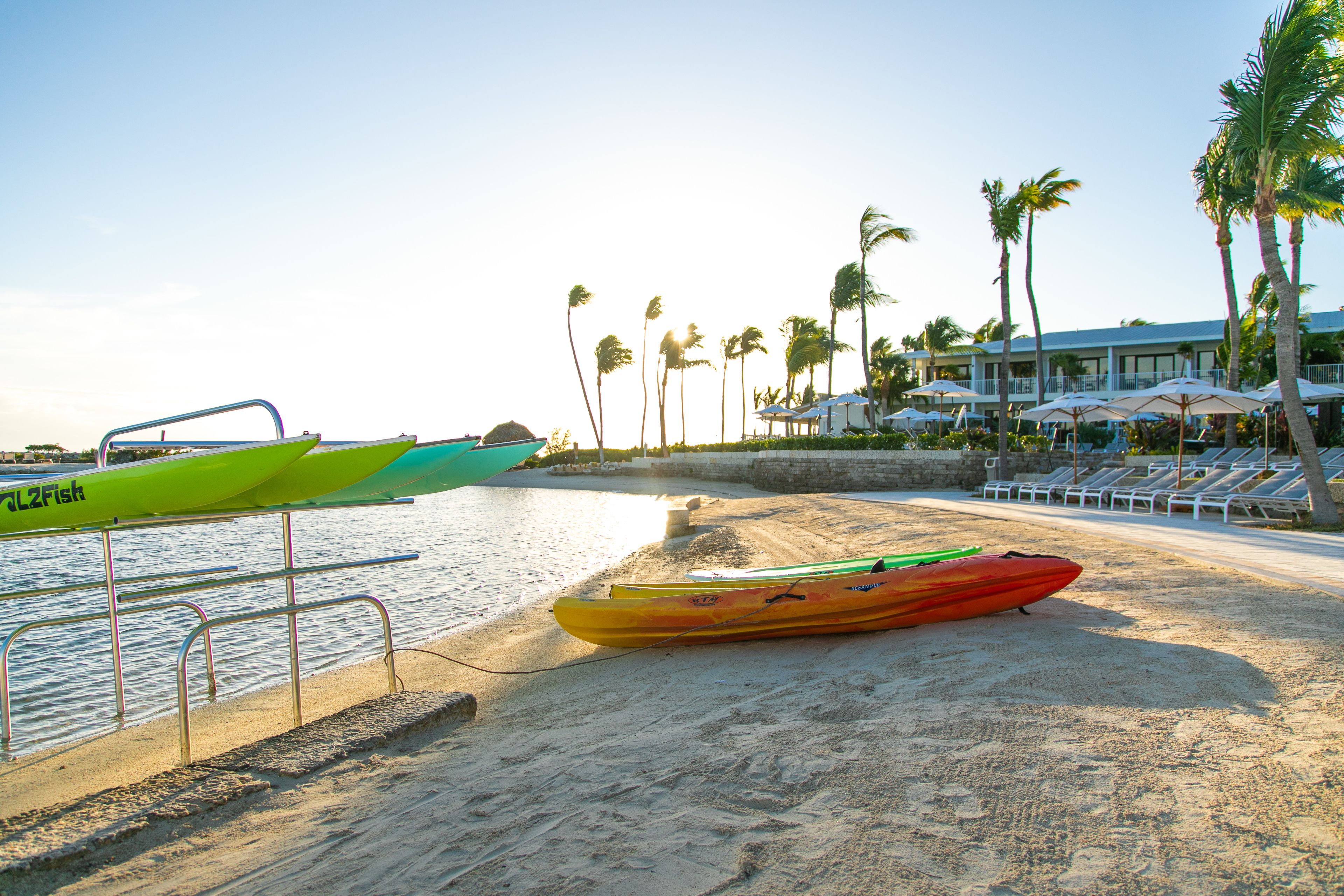 A beachside hotel with kayaks, lounge chairs, and palm trees.