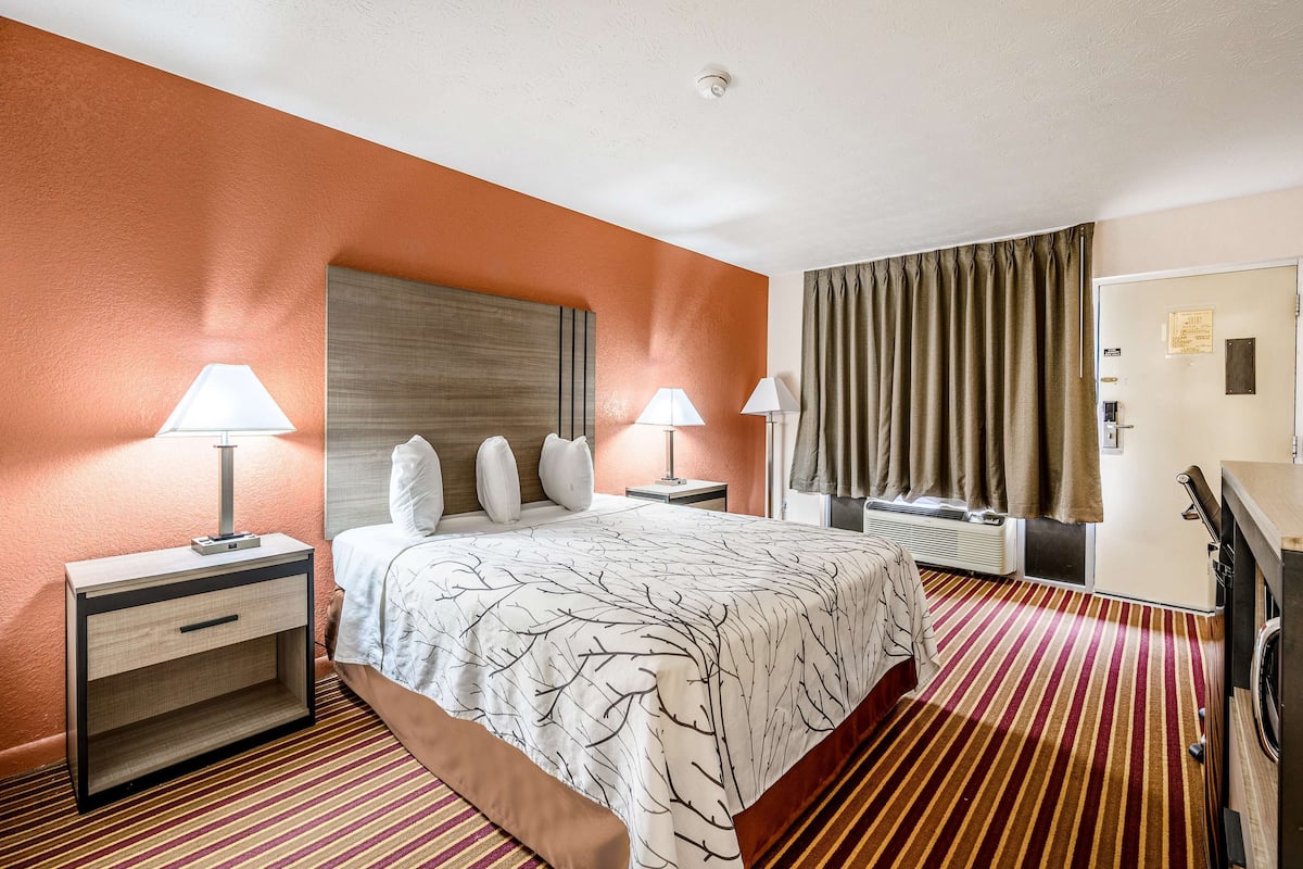 Une chambre d’hôtel avec un lit, deux tables de chevet avec des lampes, un grand miroir, une armoire et un tapis à rayures.