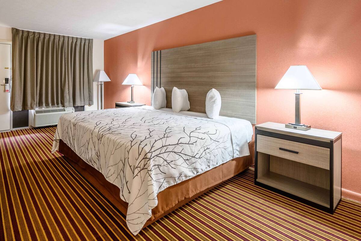 Une chambre d’hôtel avec un grand lit, deux tables de chevet avec des lampes, une tête de lit et une moquette à rayures.