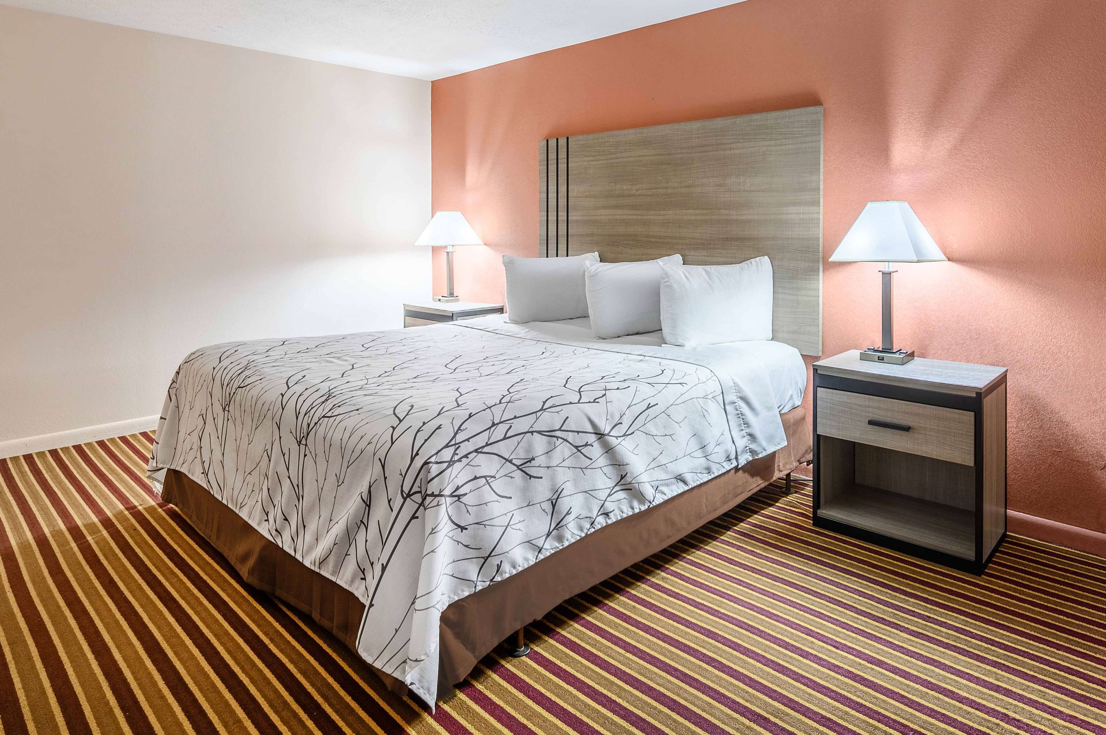 A hotel room with a large bed, two bedside tables with lamps, a striped carpet, and a peach-colored wall.