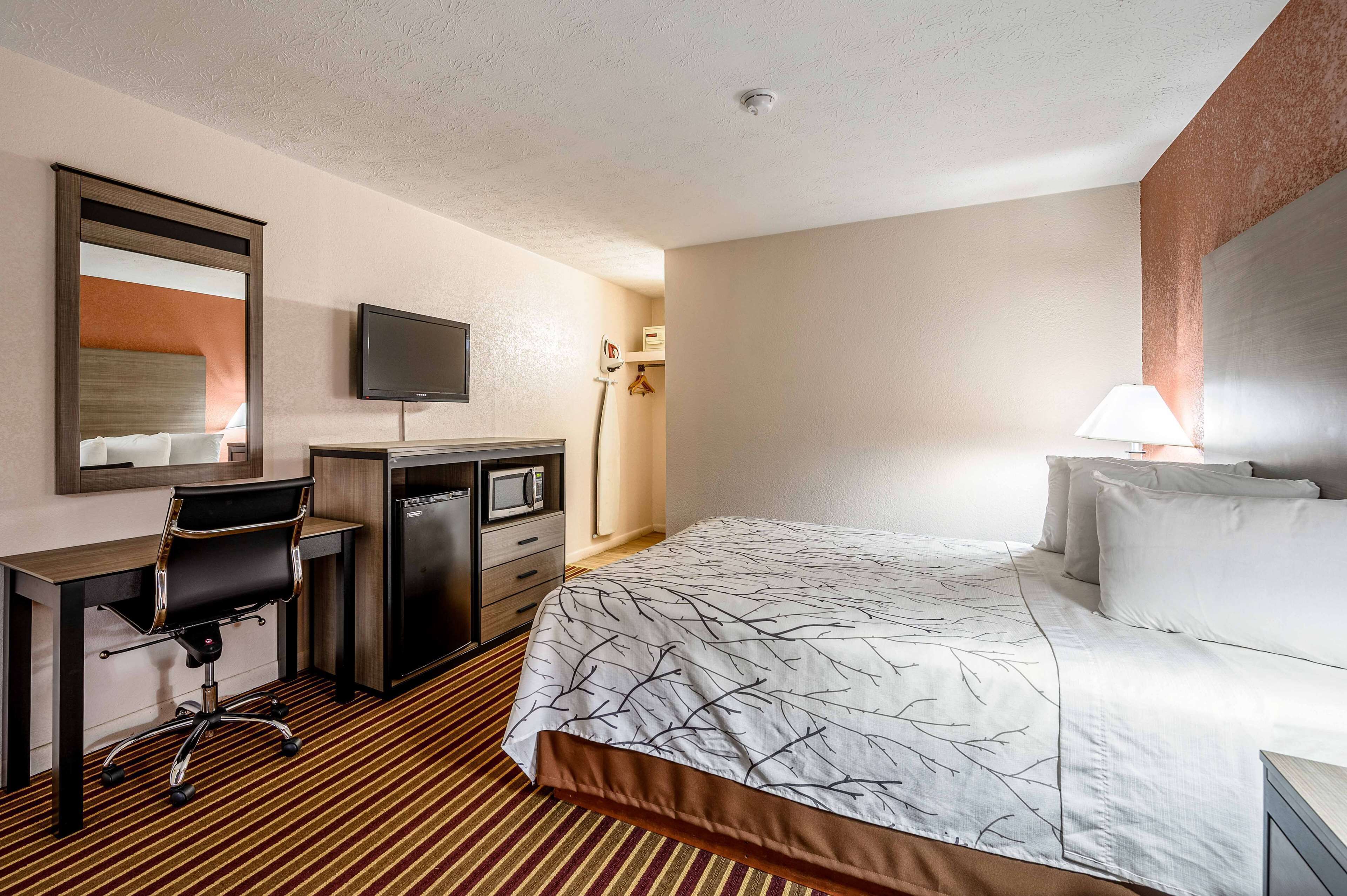A hotel room with a bed, a desk with a chair, a television, and a microwave.