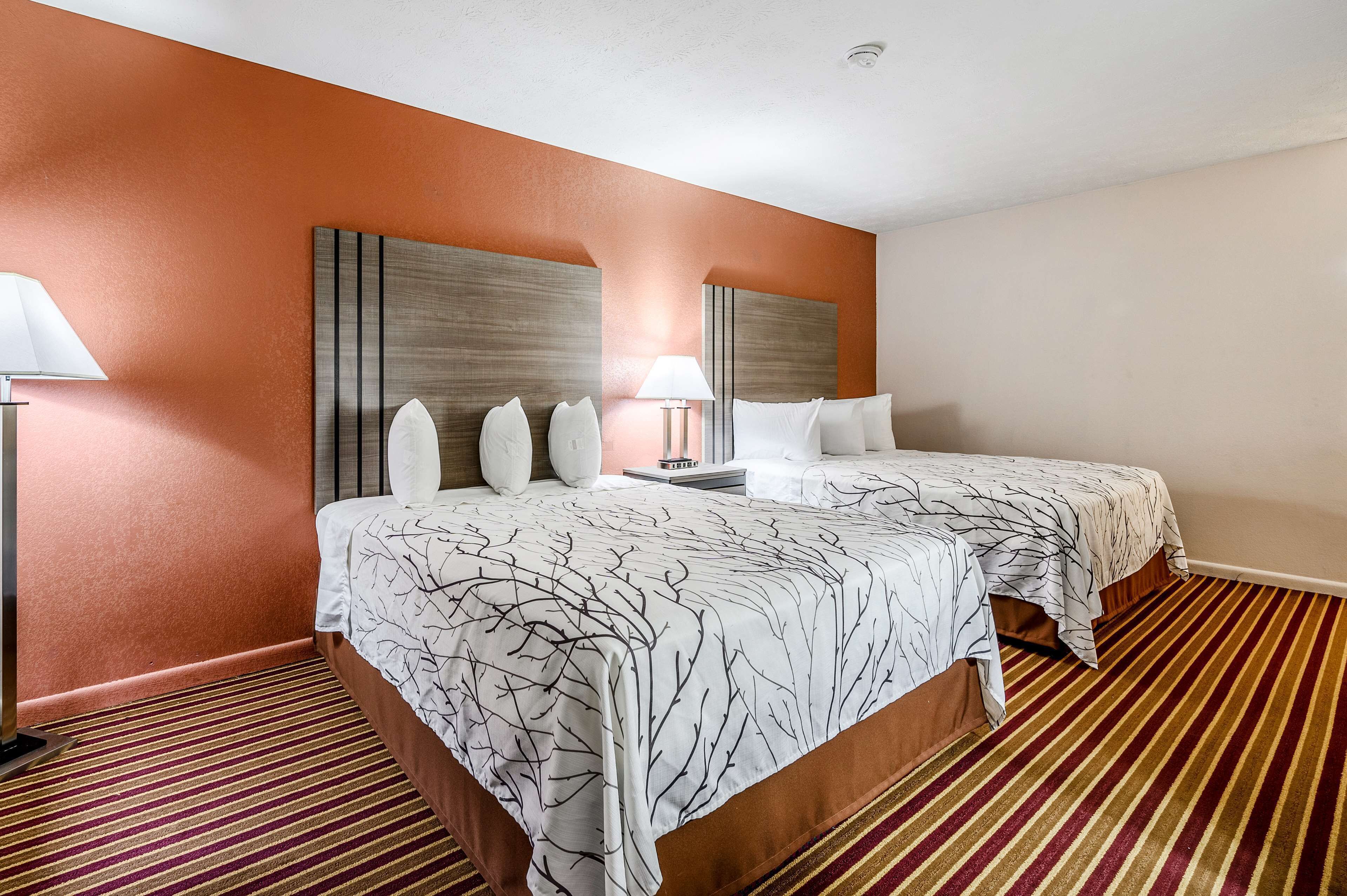 Quarto de hotel com uma cama grande, duas luminárias de cabeceira, um criado-mudo e um tapete listrado.