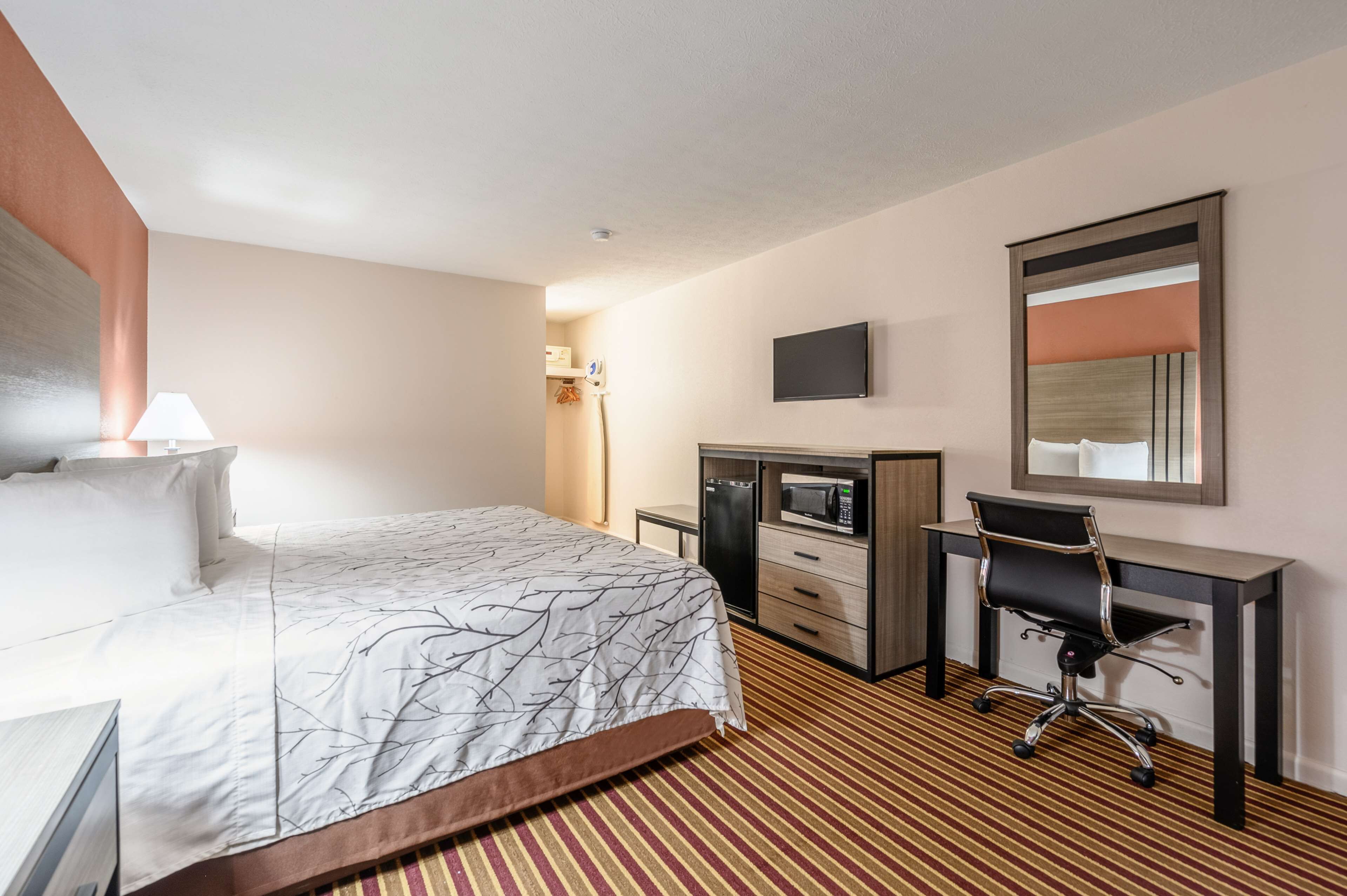 A hotel room with a bed, a desk, a chair, a television, and a microwave.