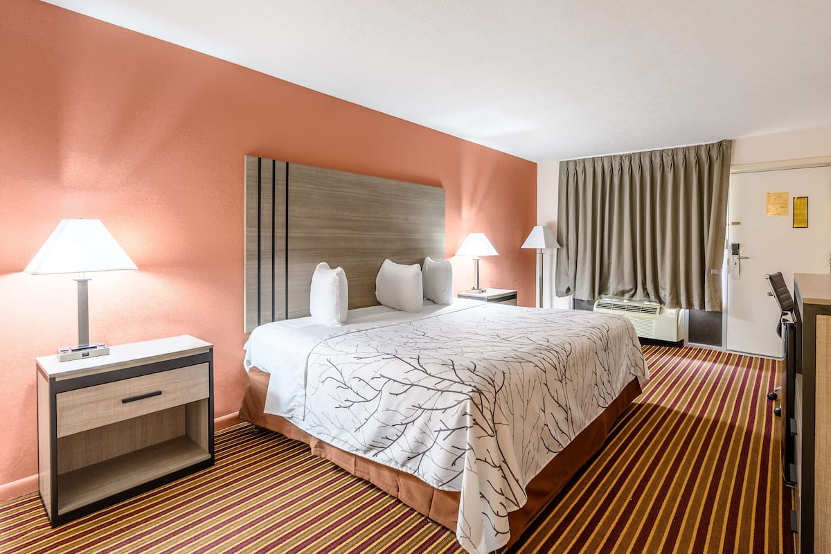 Une chambre d’hôtel comprenant un lit, deux tables de chevet avec des lampes, une tête de lit, une fenêtre avec des rideaux et un tapis à rayures.