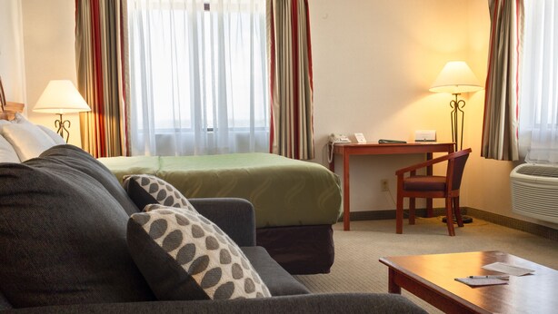A hotel room with a bed, a sofa, a desk, and a chair.