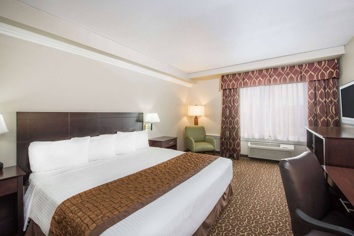 A hotel room with a large bed, a desk, a chair, a lamp, and a television.