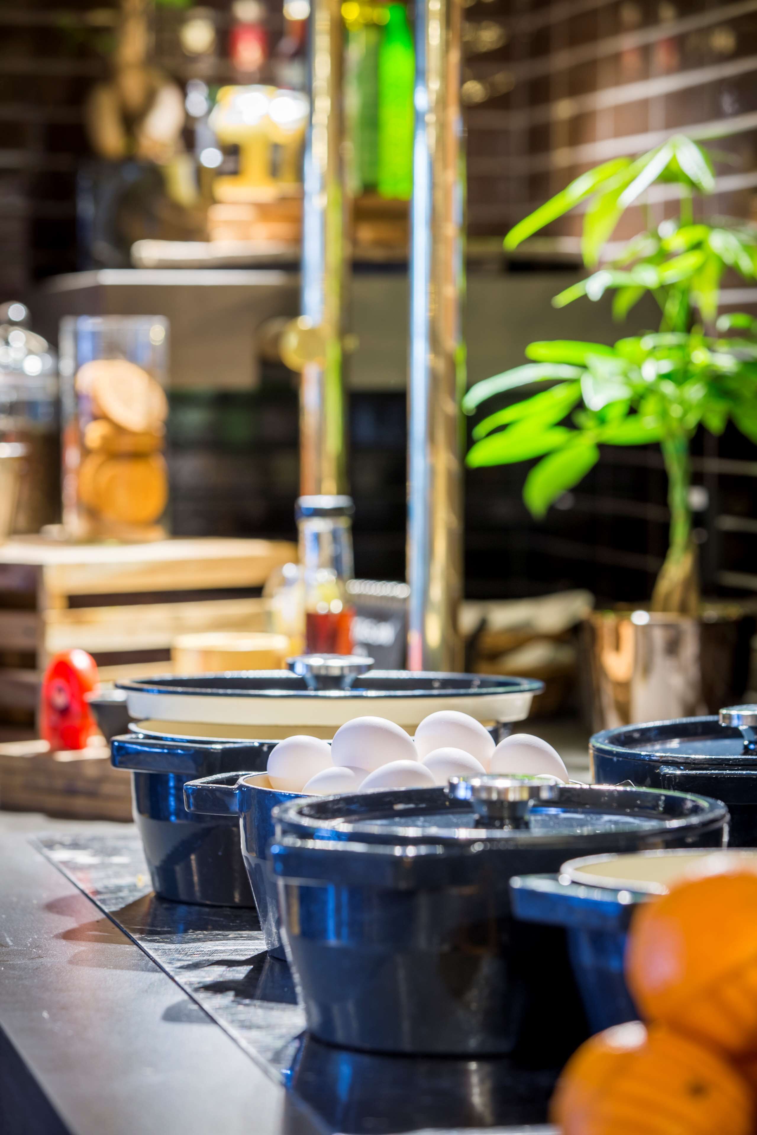 A kitchen counter with multiple blue containers, a green plant, and a red object.