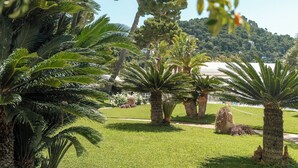 A lush garden with palm trees, a pathway, and a hill in the background.
