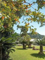 Jardín