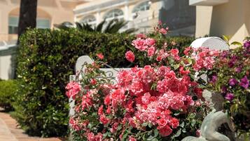 A row of pink roses in a planter, a stone statue, and a building with balconies and arches.