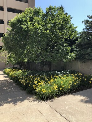BBQ/picnic area - Hilton Milwaukee (Milwaukee)