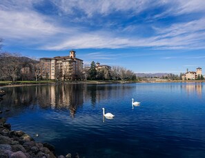 A serene lake with swans, surrounded by buildings with a prominent tower and multiple windows. - The Broadmoor (Colorado Springs)