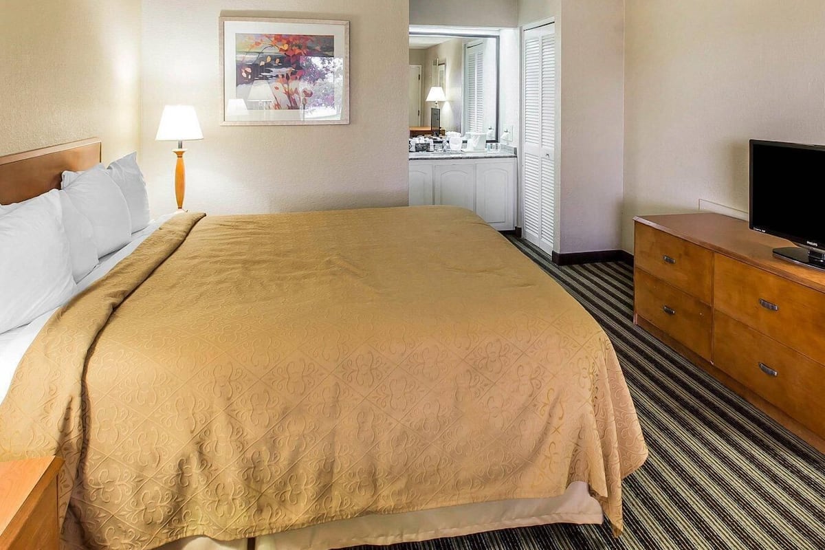 Standard Room, 1 King Bed, Non Smoking | Desk, laptop workspace, iron/ironing board, WiFi (free)