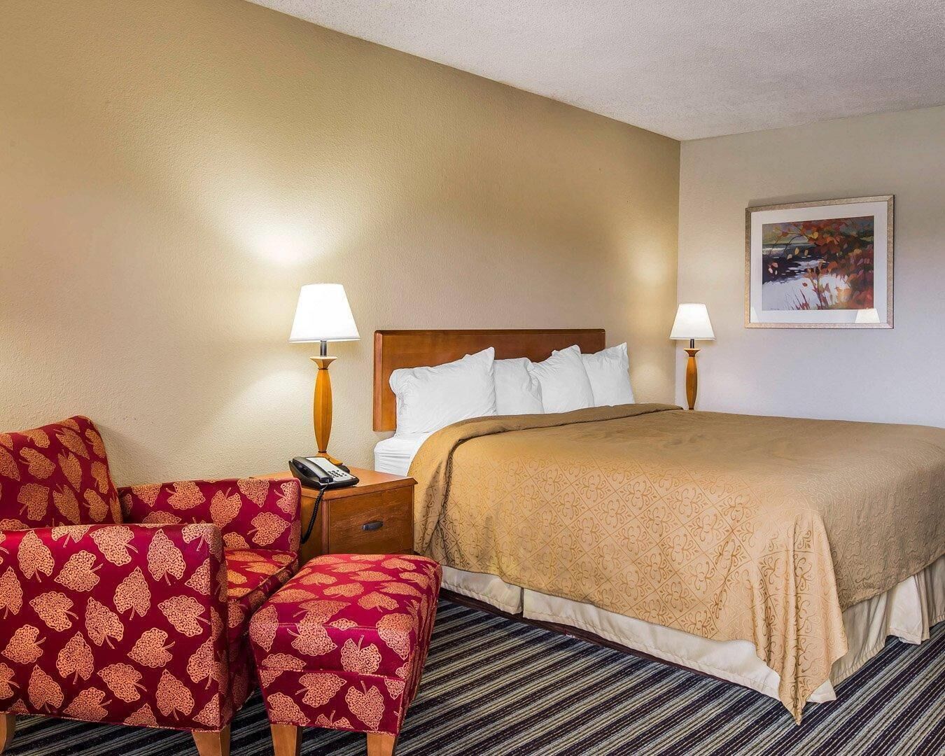 Standard Room, 1 King Bed, Non Smoking | Desk, laptop workspace, iron/ironing board, free WiFi