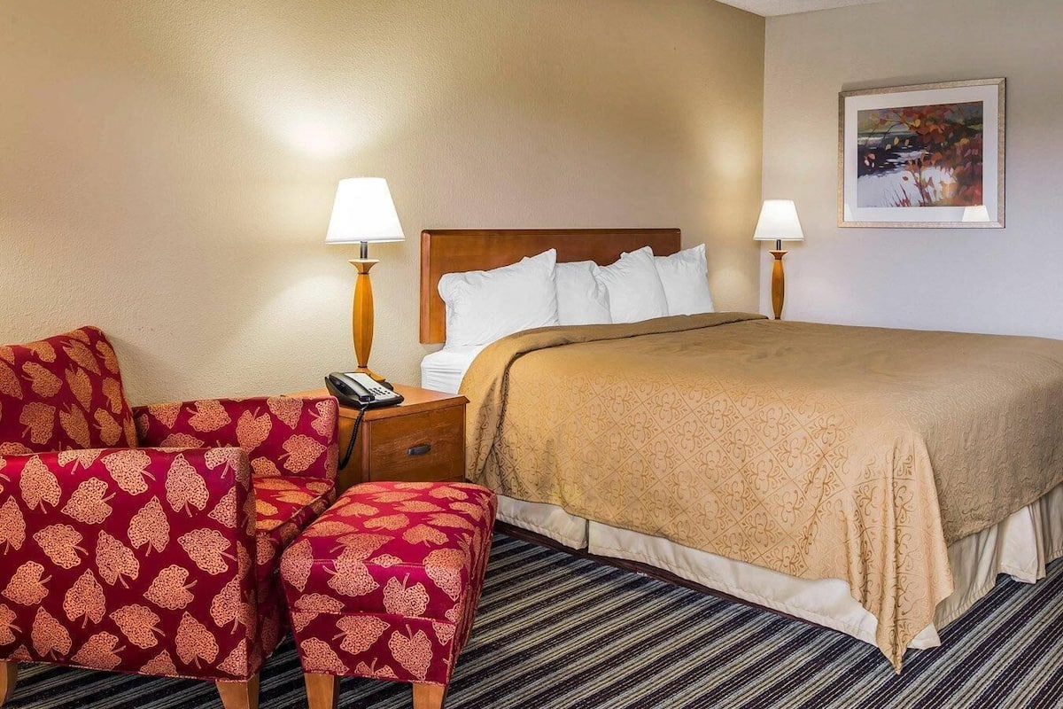 Standard Room, 1 King Bed, Non Smoking | Desk, laptop workspace, iron/ironing board, free WiFi