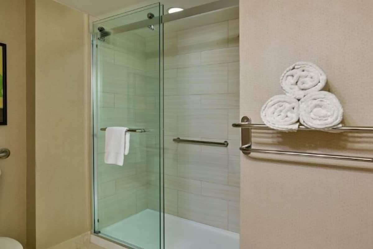 Combined shower/bathtub, free toiletries, hair dryer, towels