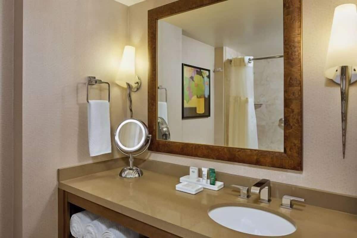 Combined shower/bathtub, free toiletries, hair dryer, towels
