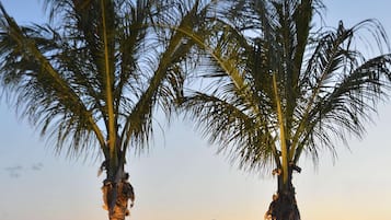 2 buitenzwembaden, zwembadcabana's (toeslag) en parasols bij het zwembad