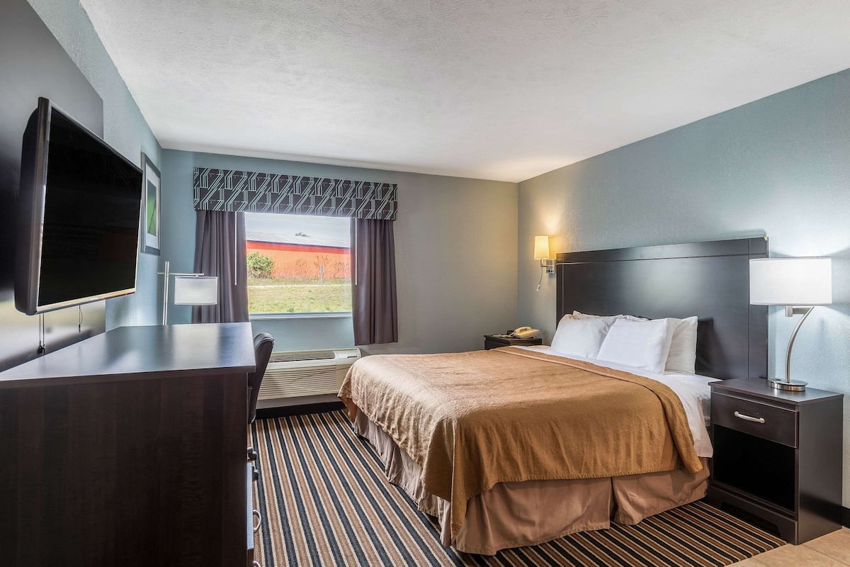 Habitación de hotel con cama, mesita de noche, lámpara y escritorio con televisor de pantalla plana.