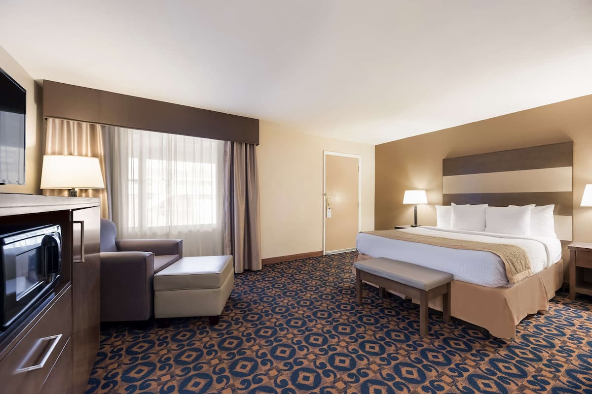 A hotel room with a bed, a desk, a chair, a TV, and a patterned carpet.