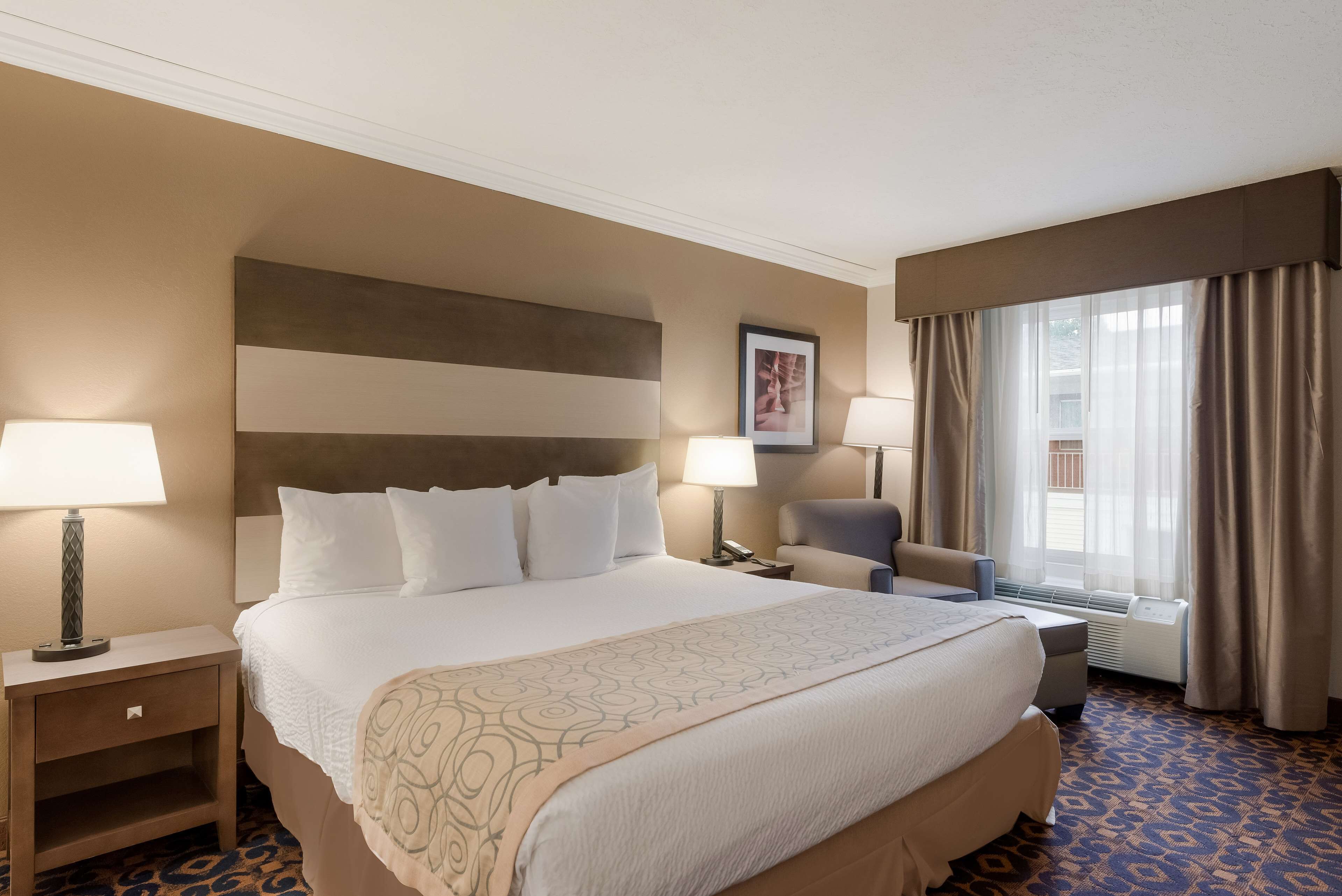 standard room, 1 king bed, non smoking, jetted tub | desk, laptop workspace, iron/ironing board, cots/infant beds