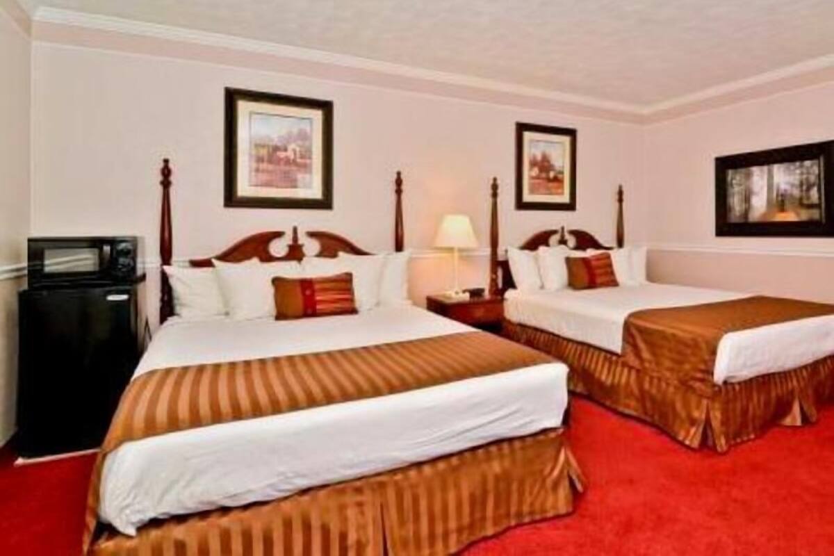 Desk, laptop workspace, blackout drapes, soundproofing