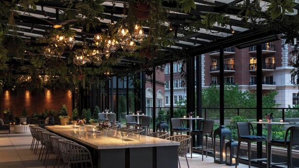 An indoor dining area with a long table, chairs, hanging plants, and a view of a brick building through large windows. - The Ritz-Carlton, St. Louis (St. Louis)