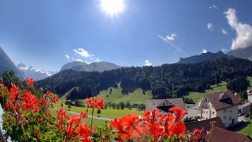 Eine Berglandschaft mit blauem Himmel, grünen Feldern und roten Blumen im Vordergrund.
