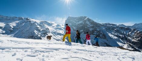 Un grupo de personas en una montaña nevada con cielo despejado y un pico montañoso destacándose al fondo.